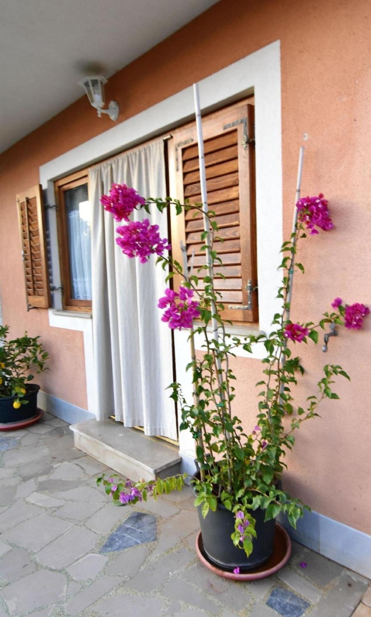 Apartment Mit Zwei Schlafzimmern In Strandnahe Basanija Exterior photo